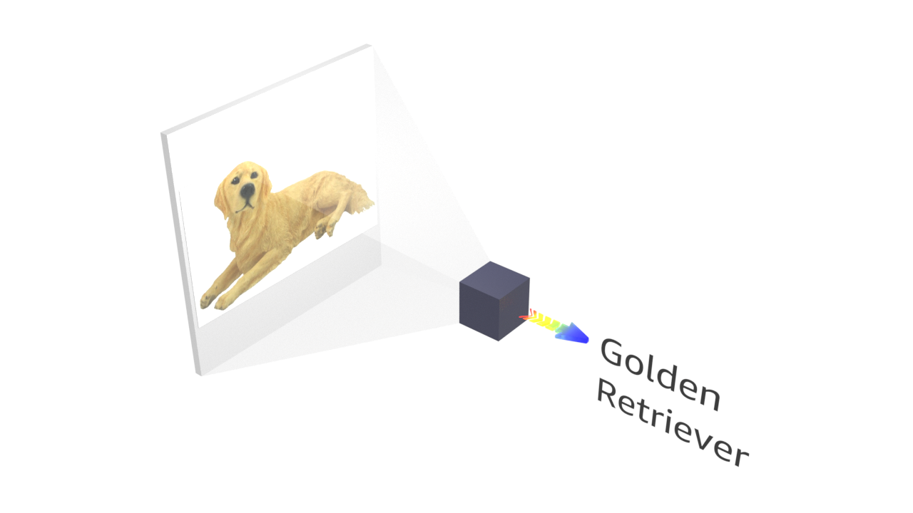 classifier identifies a Golden Retriever